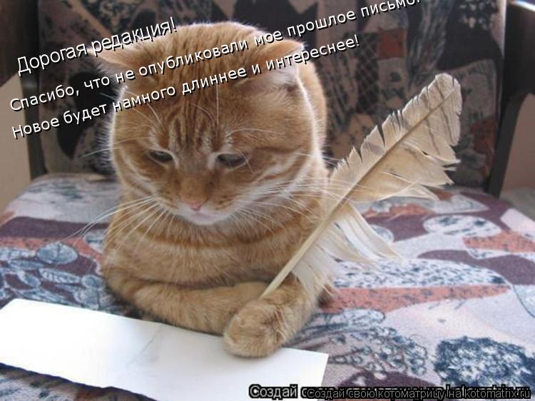 Дорогая редакция! Спасибо, что не опубликовали мое прошлое письмо. Новое будет намного длиннее и инте... Котоматрица: Дорогая редакция! Спасибо, что не опубликовали мое прошлое письмо. Новое будет намного длиннее и интереснее!