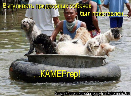 Котоматрица: Выгуливать придворных собачек  был приставлен... ...КАМЕРгер!