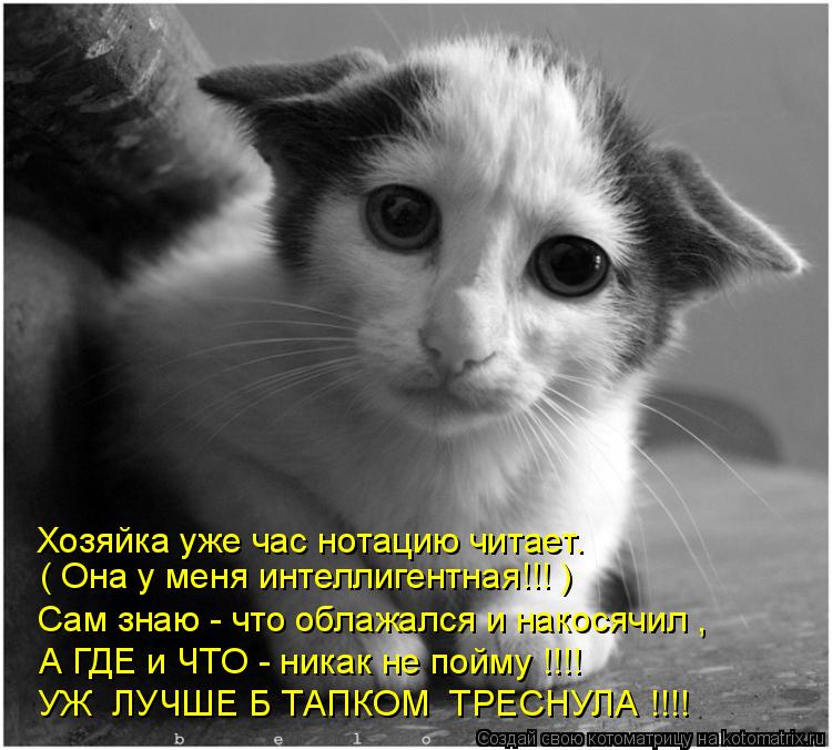 Котоматрица: Хозяйка уже час нотацию читает. ( Она у меня интеллигентная!!! ) Сам знаю - что облажался и накосячил , УЖ  ЛУЧШЕ Б ТАПКОМ  ТРЕСНУЛА !!!! А ГДЕ и ЧТ