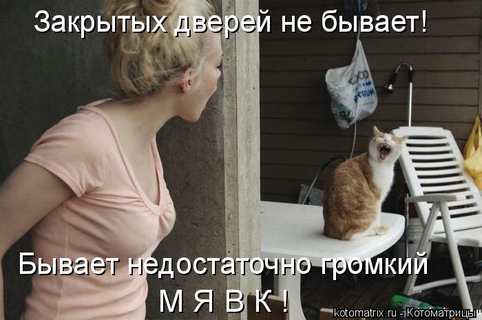 Котоматрица: Закрытых дверей не бывает! Бывает недостаточно громкий  М Я В К !