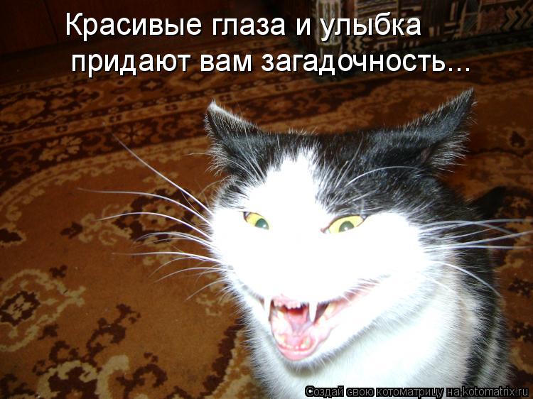 Котоматрица: Красивые глаза и улыбка придают вам загадочность...