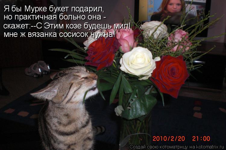 Котоматрица: Я бы Мурке букет подарил, но практичная больно она -  скажет:--С Этим козе будешь мил! мне ж вязанка сосисок нужна!