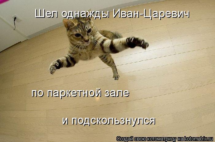 Котоматрица: Шел однажды Иван-Царевич по паркетной зале и подскользнулся