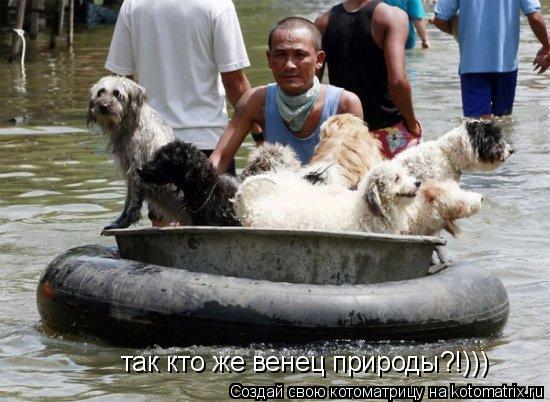 Котоматрица: так кто же венец природы?!)))