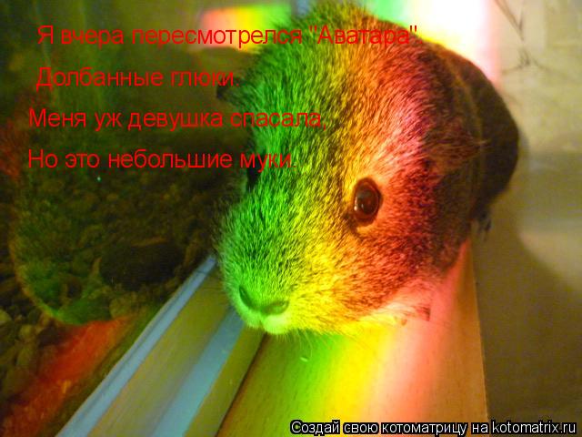 Котоматрица: Я вчера пересмотрелся "Аватара". Долбанные глюки. Меня уж девушка спасала, Но это небольшие муки.