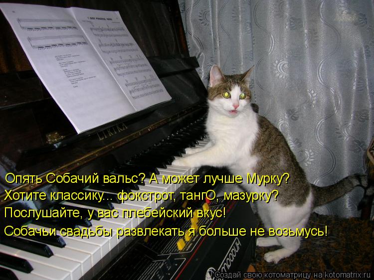 Опять Собачий вальс? А может лучше Мурку? Послушайте, у вас плебейский вкус! Собачьи свадьбы развлек... Котоматрица: Опять Собачий вальс? А может лучше Мурку? Послушайте, у вас плебейский вкус! Собачьи свадьбы развлекать я больше не возьмусь! Хотите класси