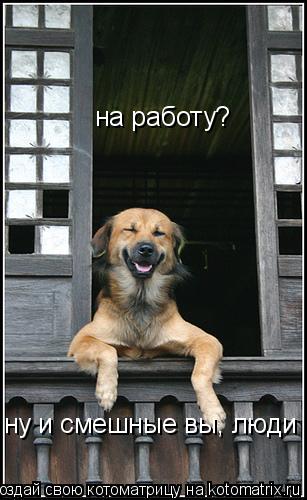 Котоматрица: на работу? ну и смешные вы, люди