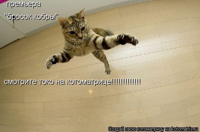 Котоматрица: премьера "бросок кобры" смотрите токо на котоматрице!!!!!!!!!!!!!