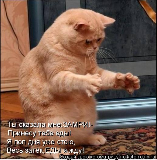 Котоматрица: Ты сказала мне:ЗАМРИ!- Принесу тебе еды! Я пол дня уже стою, Весь затёк,ЕДЫ я жду!