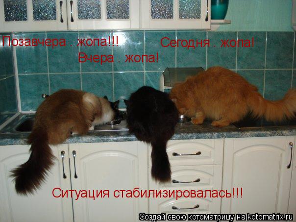 Позавчера — жопа!!! Вчера — жопа! Сегодня — жопа! Ситуация стабилизировалась!!! Позавчера — жопа!!! В... Котоматрица: Позавчера — жопа!!! Вчера — жопа! Сегодня — жопа! Ситуация стабилизировалась!!! Позавчера — жопа!!! Вчера — жопа! Сегодня — жопа! Ситуация с