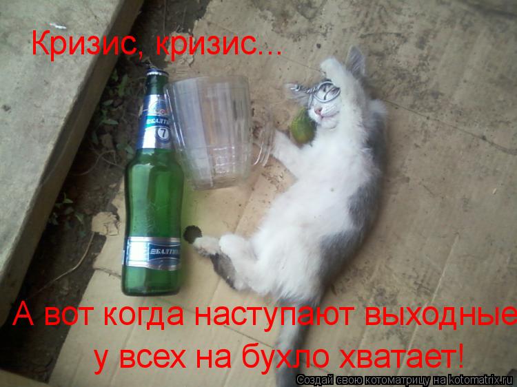 Кризис, кризис... А вот когда наступают выходные у всех на бухло хватает!... Котоматрица: Кризис, кризис... А вот когда наступают выходные у всех на бухло хватает!