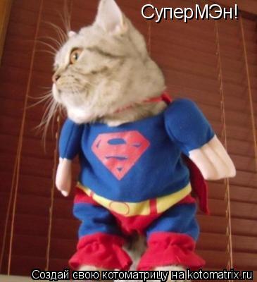 СуперМЭн!... Котоматрица: СуперМЭн!