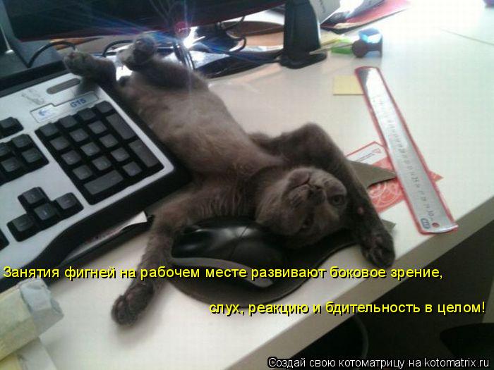 Котоматрица: Занятия фигней на рабочем месте развивают боковое зрение,  слух, реакцию и бдительность в целом!