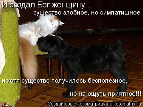 Котоматрица: И создал Бог женщину...  существо злобное, но симпатишное  и хотя существо получилось бесполезное, но на ощупь приятное!!!