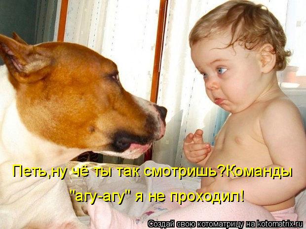 Котоматрица: Петь,ну чё ты так смотришь?Команды "агу-агу" я не проходил!