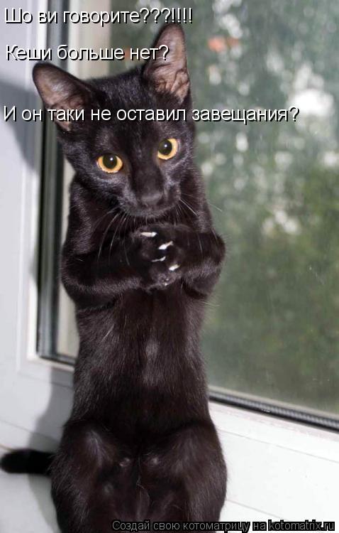 Котоматрица: Шо ви говорите???!!!! Кеши больше нет? И он таки не оставил завещания?