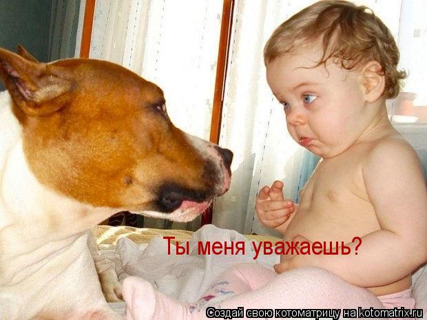 Котоматрица: Ты меня уважаешь?