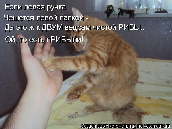 Котоматрица: Если левая ручка Чешется левой лапкой - Ой, то есть пРИБЫли! Да это ж к ДВУМ ведрам чистой РИБЫ..