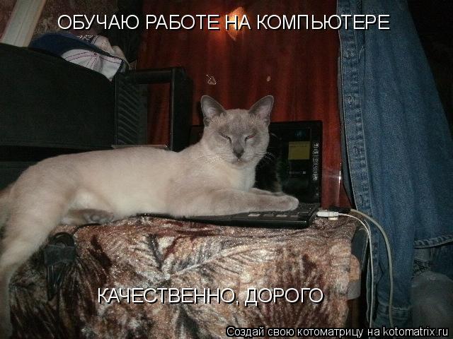 Котоматрица: ОБУЧАЮ РАБОТЕ НА КОМПЬЮТЕРЕ КАЧЕСТВЕННО, ДОРОГО