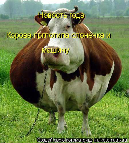 Котоматрица: Новость года Корова прглотила слонёнка и машину