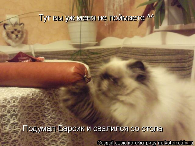 Котоматрица: Тут вы уж меня не поймаете ^^ Подумал Барсик и свалился со стола