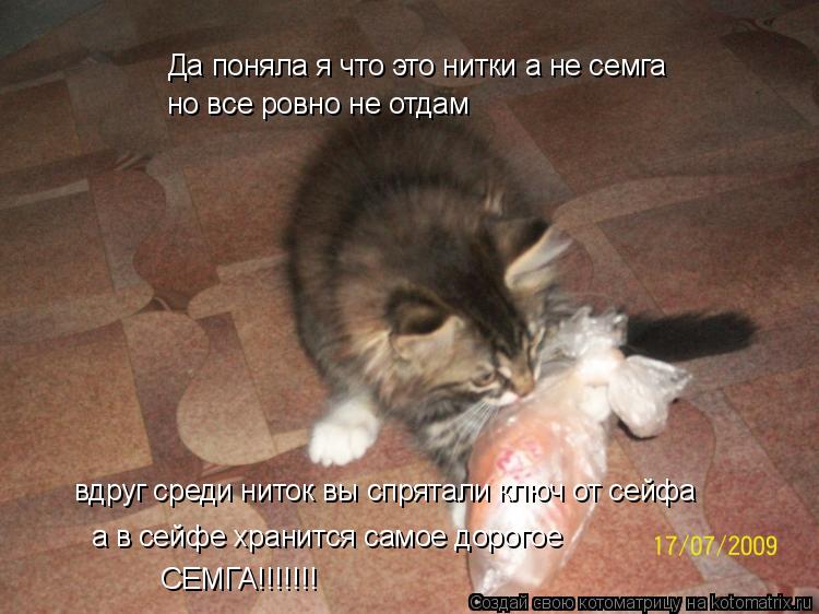 Котоматрица: Да поняла я что это нитки а не семга  но все ровно не отдам вдруг среди ниток вы спрятали ключ от сейфа а в сейфе хранится самое дорогое СЕМГА