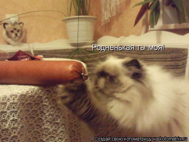 Котоматрица: Родненькая ты моя!