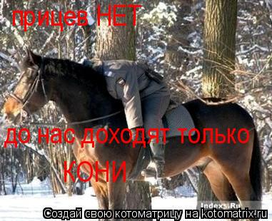 Котоматрица: прицев НЕТ до нас доходят только  КОНИ