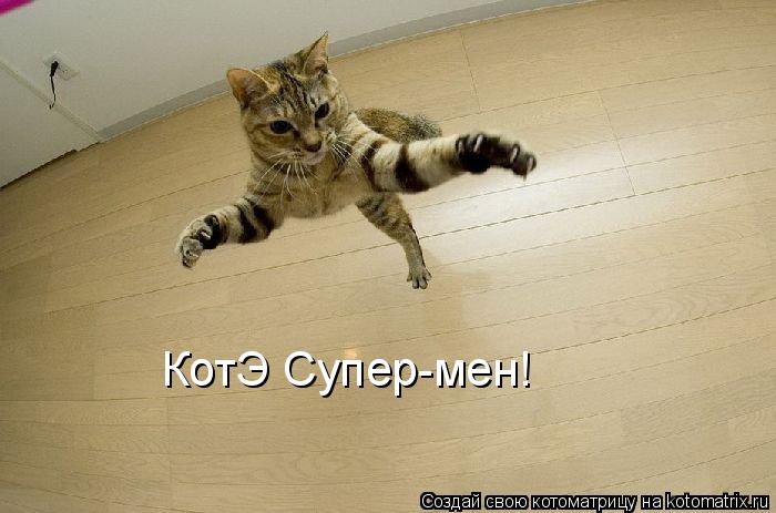 Котоматрица: КотЭ Супер-мен!