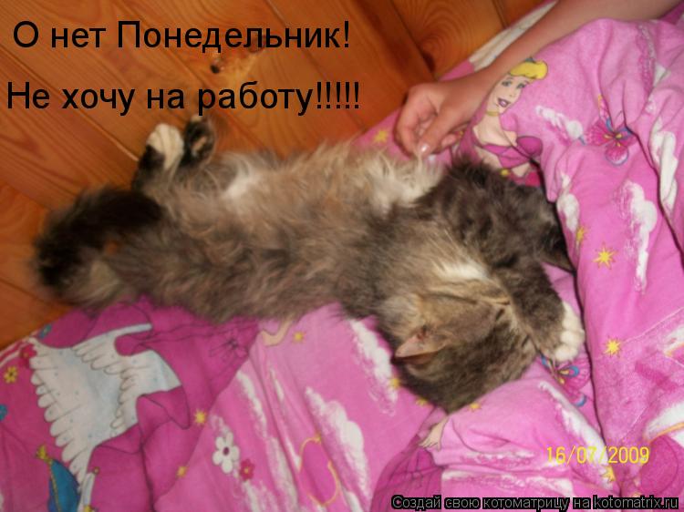 Котоматрица: О нет Понедельник! не хочу на работу Не хочу на работу!!!!!
