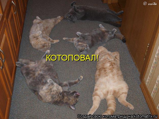 КОТОПОВАЛ!... Котоматрица: КОТОПОВАЛ!