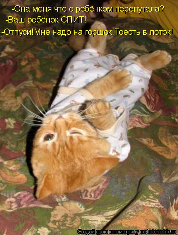 -Она меня что с ребёнком перепутала? -Ваш ребёнок СПИТ! -Отпуси!Мне надо на горшок!Тоесть в лоток!... Котоматрица: -Она меня что с ребёнком перепутала? -Ваш ребёнок СПИТ! -Отпуси!Мне надо на горшок!Тоесть в лоток!