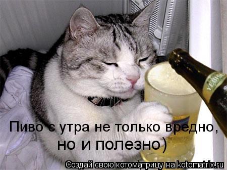 Пиво с утра не только вредно, но и полезно)... Котоматрица: Пиво с утра не только вредно, но и полезно)