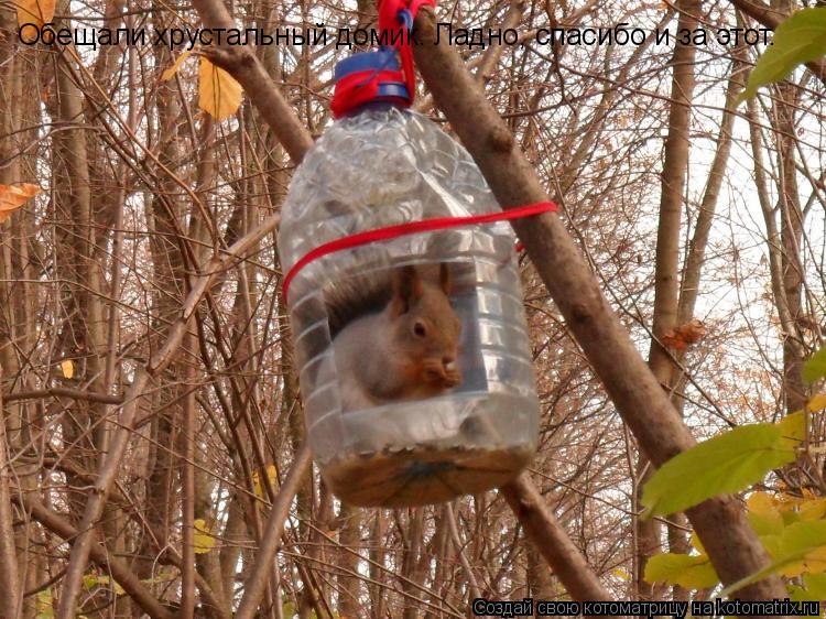Обещали хрустальный домик. Ладно, спасибо и за этот.... Котоматрица: Обещали хрустальный домик. Ладно, спасибо и за этот.