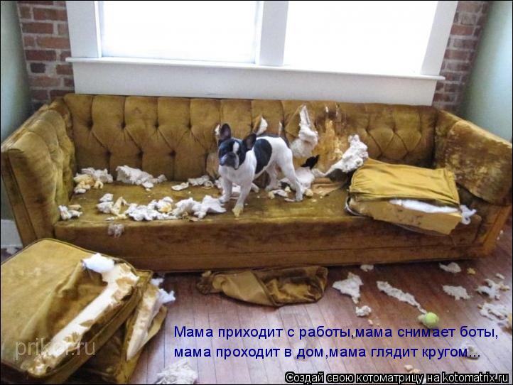 Мама приходит с работы,мама снимает боты, мама проходит в дом,мама глядит кругом...... Котоматрица: Мама приходит с работы,мама снимает боты, мама проходит в дом,мама глядит кругом...