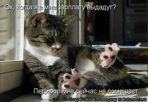 Ох, когда же мне зарплату выдадут? Педикюр мне сейчас не помешает.... Котоматрица: Ох, когда же мне зарплату выдадут? Педикюр мне сейчас не помешает.