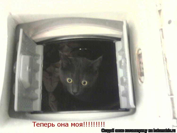 Теперь она моя!!!!!!!!!... Котоматрица: Теперь она моя!!!!!!!!!