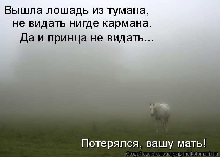 Котоматрица: Вышла лошадь из тумана,  не видать нигде кармана. Да и принца не видать... Потерялся, вашу мать!