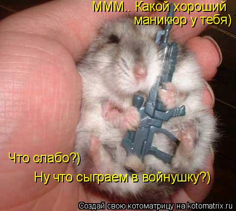 Котоматрица: Ну что сыграем в войнушку?) МММ.. Какой хороший маникюр у тебя) Что слабо?)