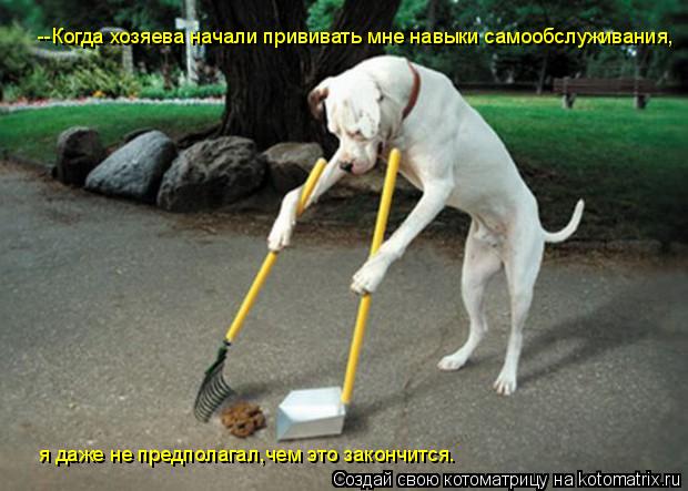 Котоматрица: --Когда хозяева начали прививать мне навыки самообслуживания, я даже не предполагал,чем это закончится.