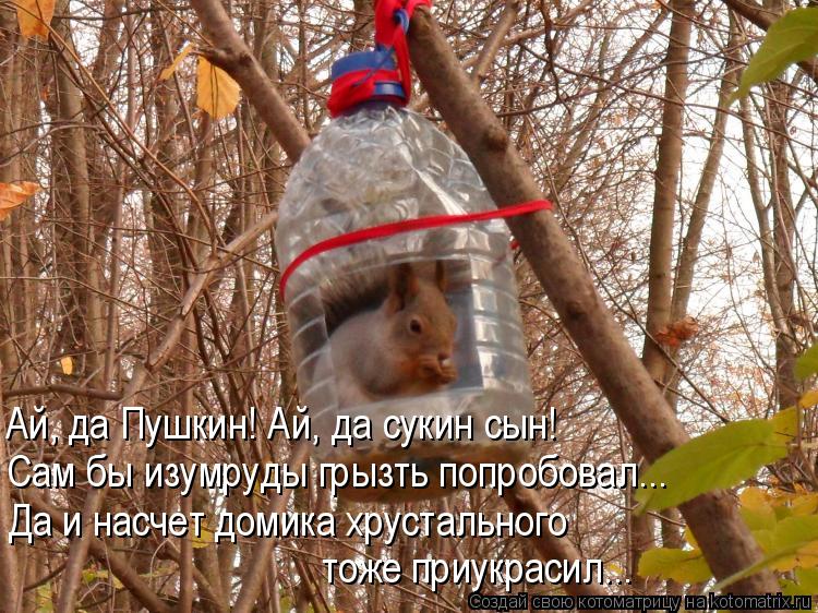 Котоматрица: Ай, да Пушкин! Ай, да сукин сын! Сам бы изумруды грызть попробовал... Да и насчет домика хрустального  тоже приукрасил...