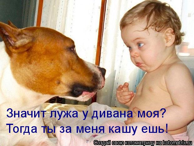 Котоматрица: Значит лужа у дивана моя? Тогда ты за меня кашу ешь!