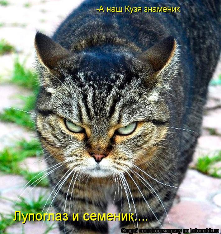 -А наш Кузя знаменик Лупоглаз и семеник....... Котоматрица: -А наш Кузя знаменик Лупоглаз и семеник....