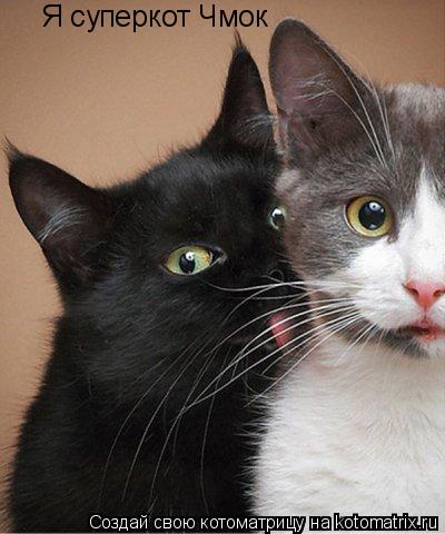 Котоматрица: Я суперкот Чмок
