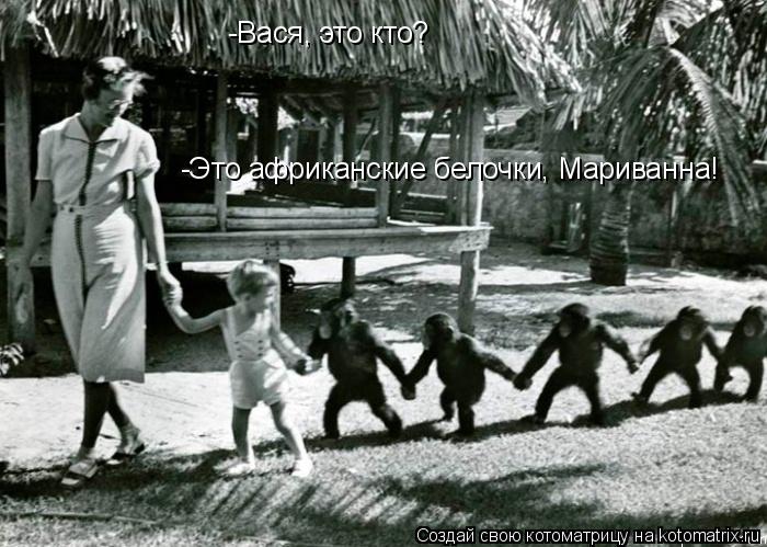 Котоматрица: -Вася, это кто? -Это африканские белочки, Мариванна!