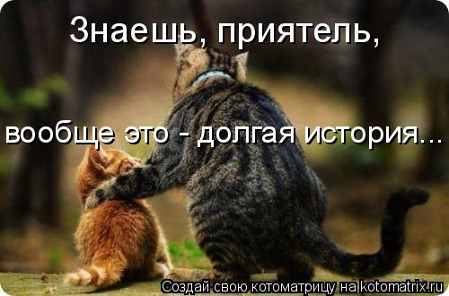 Котоматрица: Знаешь, приятель, вообще это - долгая история...