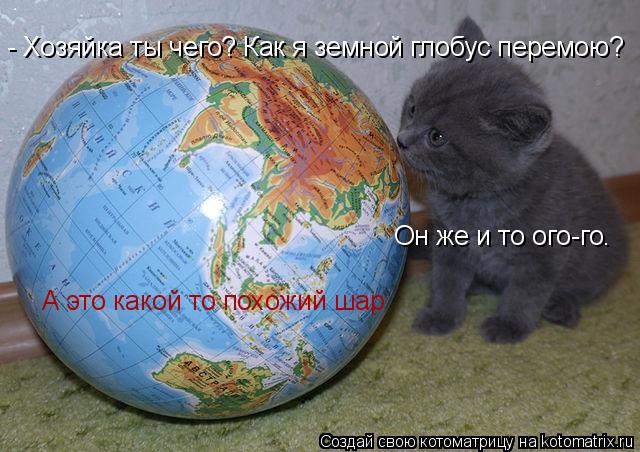 Котоматрица: - Хозяйка ты чего? Как я земной глобус перемою? Он же и то ого-го. А это какой то похожий шар