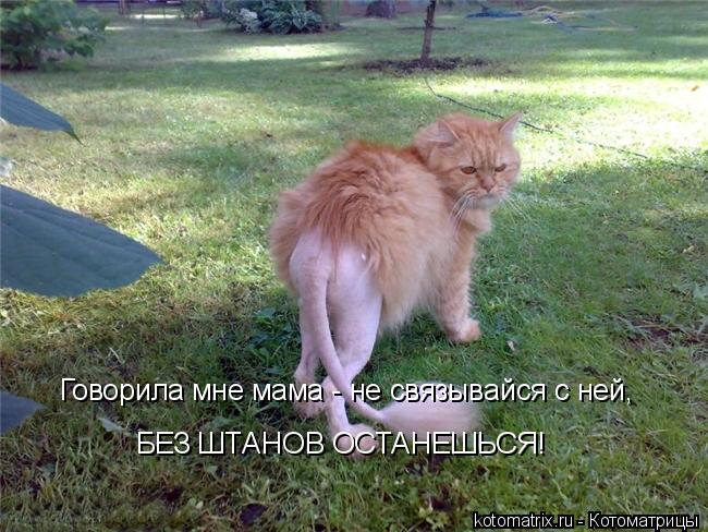 Котоматрица: Говорила мне мама - не связывайся с ней, БЕЗ ШТАНОВ ОСТАНЕШЬСЯ!