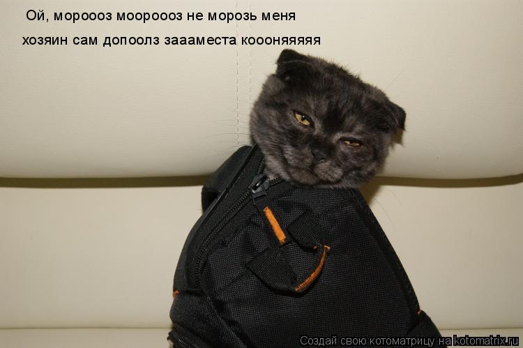 Котоматрица: Ой, мороооз моороооз не морозь меня хозяин сам допоолз заааместа коооняяяяя