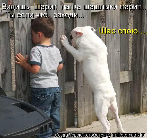 Котоматрица: Видишь, Шарик, папка шашлыки жарит... Ты если что...заходи... Шас спою....